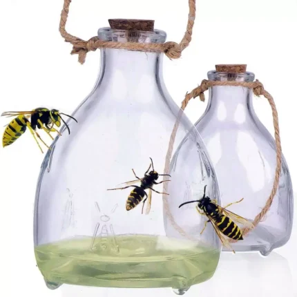 2 x Glass Wasp Trap hanging Honey Pot Outdoor & Fly Catcher Flies Insects